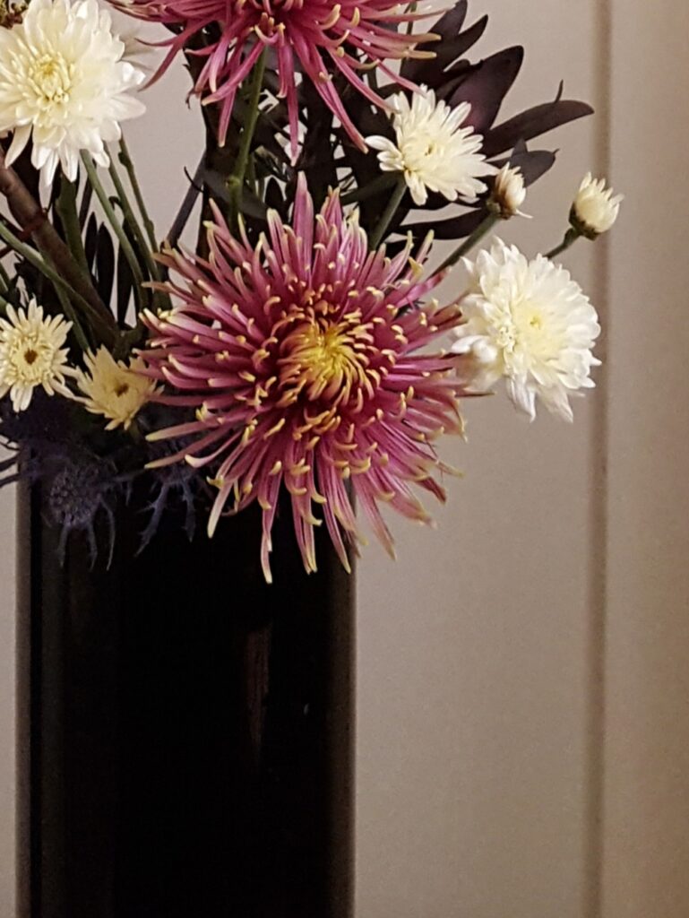 Chrysanthemum arrangement