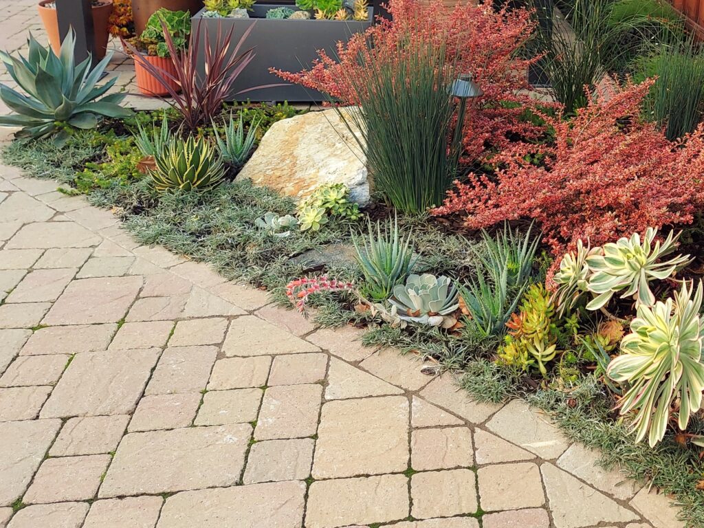 Colorful planting with small boulder